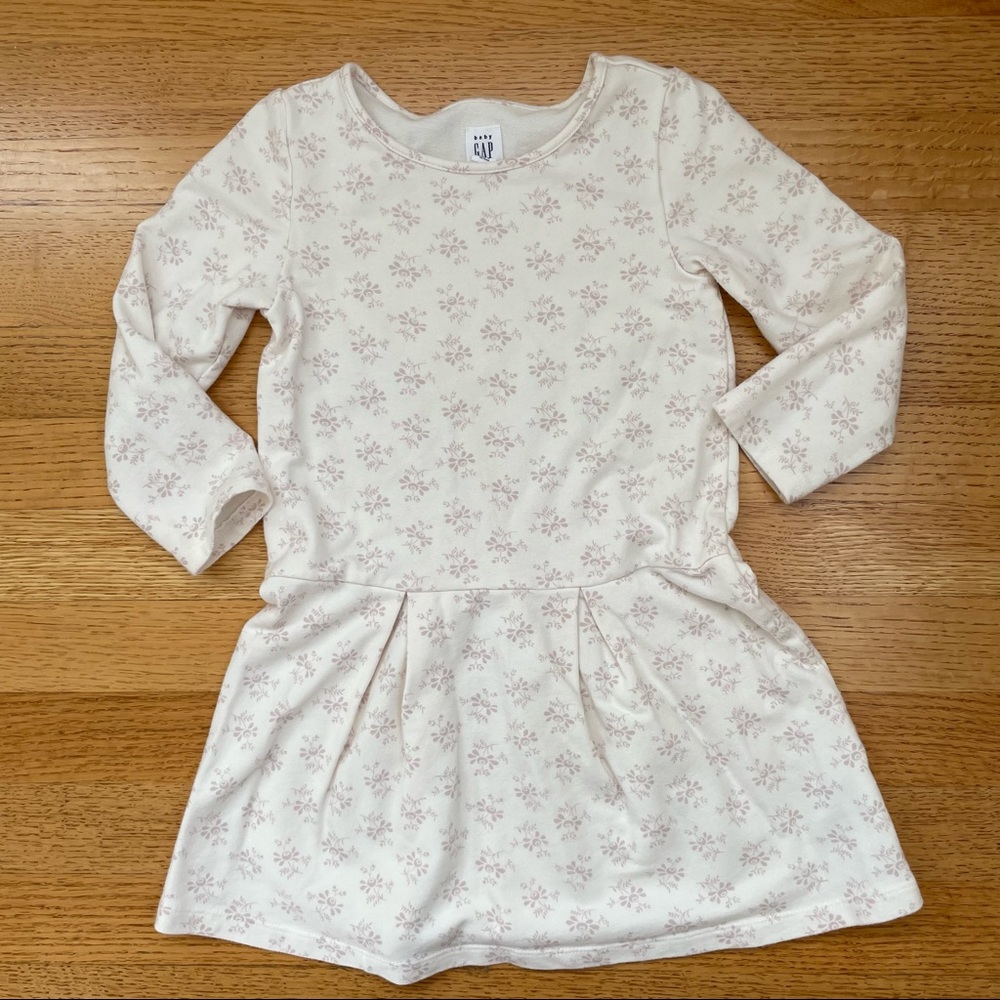 Gap Floral Dress 4T